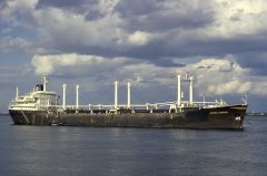 Thumbnail Image for Norse Carrier