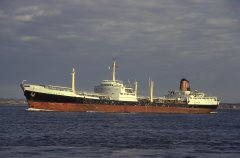 Thumbnail Image for Olympic Storm