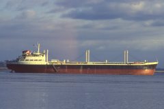 Thumbnail Image for Orion