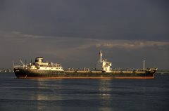 Thumbnail Image for Oscar Sinigaglia