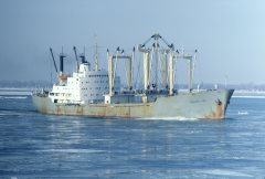 Thumbnail Image for Marina Two