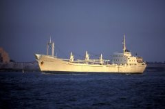 Thumbnail Image for Playa del Medano