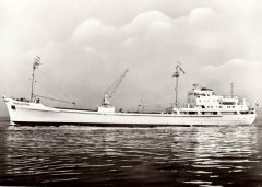 Thumbnail Image for Poolster