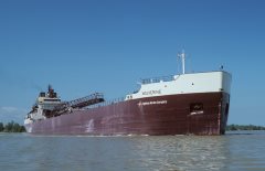 Thumbnail Image for Wolverine