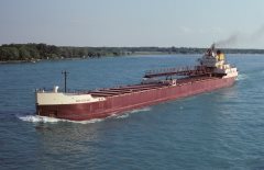 Thumbnail Image for Wolverine