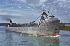 Thumbnail Image for W.F. White