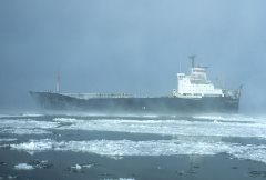 Thumbnail Image for Mekhanik Tarasov