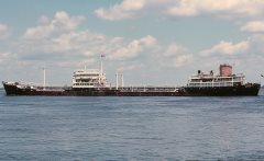 Thumbnail Image for Salamis