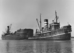 Thumbnail Image for Graeme Stewart