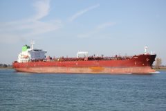 Thumbnail Image for Beryl