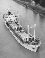 Thumbnail Image for Gunther Schulte