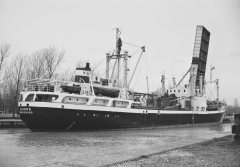 Thumbnail Image for Olhorn