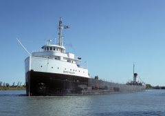 Thumbnail Image for Birchglen