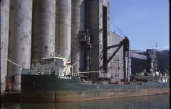 Thumbnail Image for Ferndale