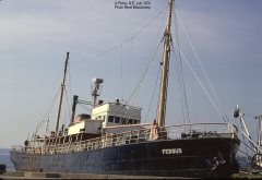 Thumbnail Image for Fergus