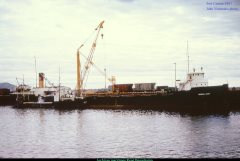 Thumbnail Image for Federal Husky