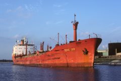 Thumbnail Image for Tove Cob