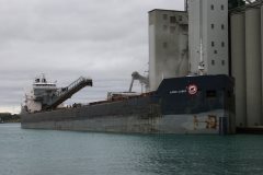 Thumbnail Image for Algoma Olympic