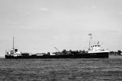 Thumbnail Image for Black River