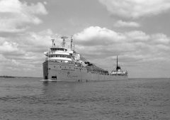 Thumbnail Image for Myron C. Taylor