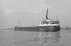 Thumbnail Image for New York News