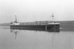 Thumbnail Image for New York News