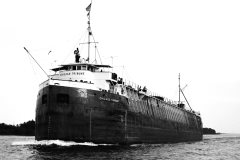 Thumbnail Image for Chicago Tribune