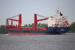 Thumbnail Image for Billie