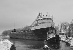 Thumbnail Image for Leadale