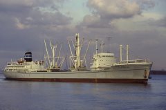 Thumbnail Image for Sarfaraz Rafiqi