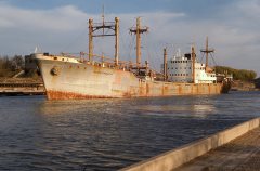 Thumbnail Image for Scherpendrecht