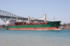 Thumbnail Image for Bluewing