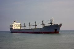 Thumbnail Image for Sjoholt