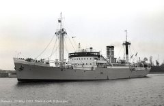 Thumbnail Image for Snikolas