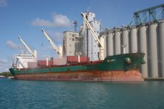 Thumbnail Image for Brant