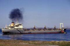 Thumbnail Image for Sophia Colocotroni