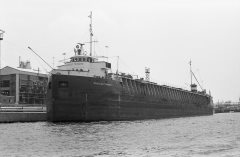 Thumbnail Image for Chicago Tribune