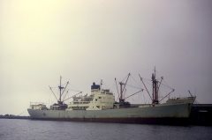 Thumbnail Image for Theokrates