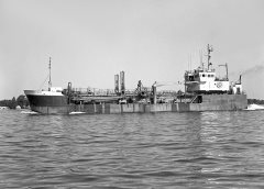 Thumbnail Image for Northerly Island