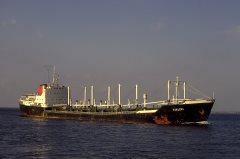 Thumbnail Image for Tzelepi