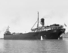 Thumbnail Image for Shelter Bay