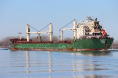 Thumbnail Image for Blacky