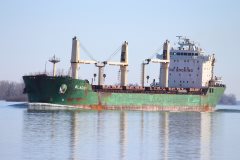 Thumbnail Image for Blacky