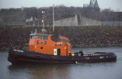 Thumbnail Image for Flo. Cooper