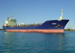 Thumbnail Image for Tavi