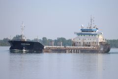 Thumbnail Image for Blair McKeil oncontextmenu=