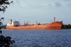 Thumbnail Image for Tove Cob