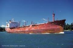 Thumbnail Image for Tove Cob