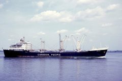 Thumbnail Image for Alex