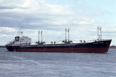 Thumbnail Image for Alfredo Primo